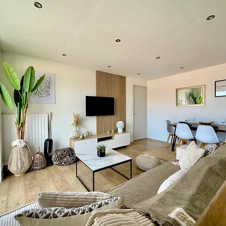 T3 Sea View Walking Distance Of Palais, Ac , Parking, Terrace Cannes