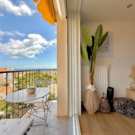 T3 Sea View Walking Distance Of Palais, Ac , Parking, Terrace Cannes